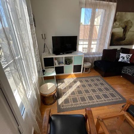 Duplex Appartamento Beaumont-sur-Sarthe Esterno foto